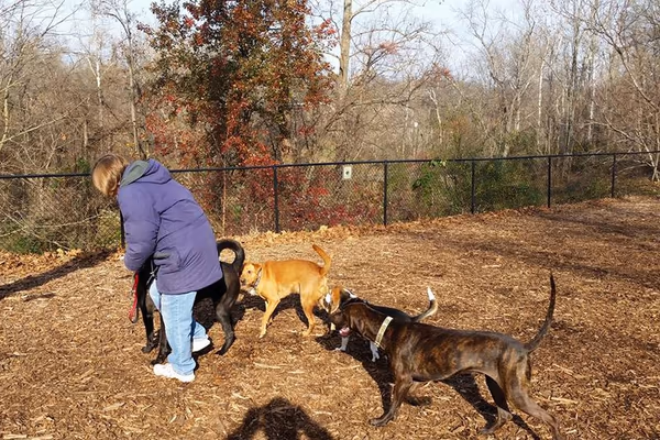 Leesburg Dog Park at Olde Izaak Walton Park photo 2